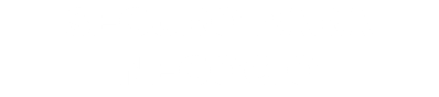 SEGURO PARA NEGOCIO